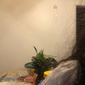 Meet your Posher, Daisy